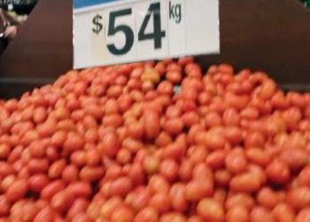 Precio del tomate hasta en 50 pesos