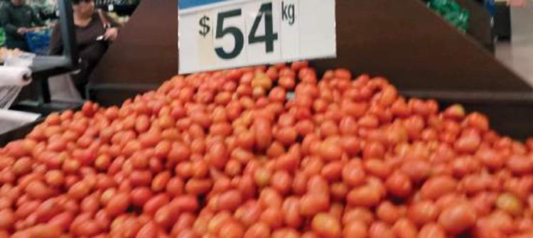 Precio del tomate hasta en 50 pesos
