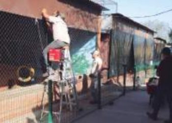 Implementa Zoológico medidas contra frío
