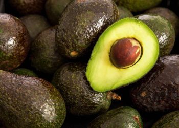Los Increíbles Beneficios del Aguacate para la Salud