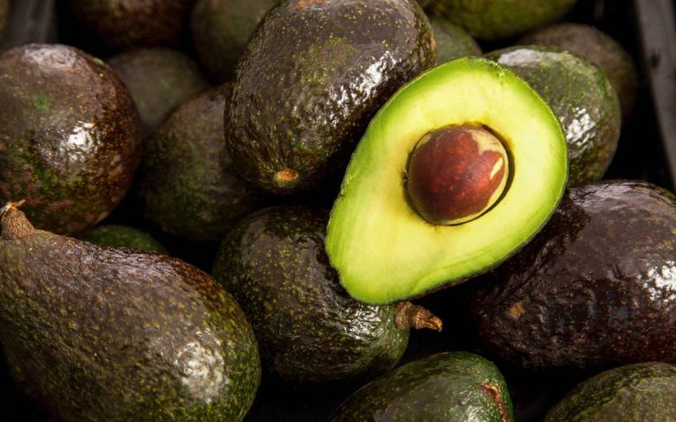 Los Increíbles Beneficios del Aguacate para la Salud