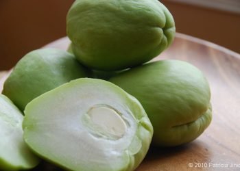 Explorando los Nutrientes y Beneficios del Chayote: Una Joya Nutricional en la Cocina
