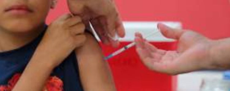 PARA VARONES DE 9 A 16 AÑOS Inicia en febrero campaña de vacunación contra VPH