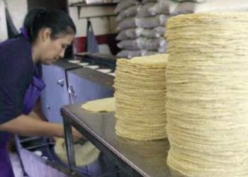 Congela precio de la tortilla al frenar el costo de la Maseca