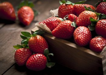 Explorando los Maravillosos Beneficios y la Importancia de las Fresas en tu Dieta