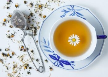 Infusiones Naturales de Bajo Costo: Aliadas Contra el Dolor de Cabeza y el Estrés