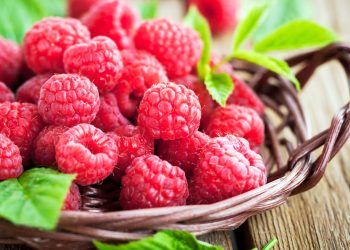 Descubriendo los Nutrientes y Beneficios Saludables de las Frambuesas: Una Joya Nutricional