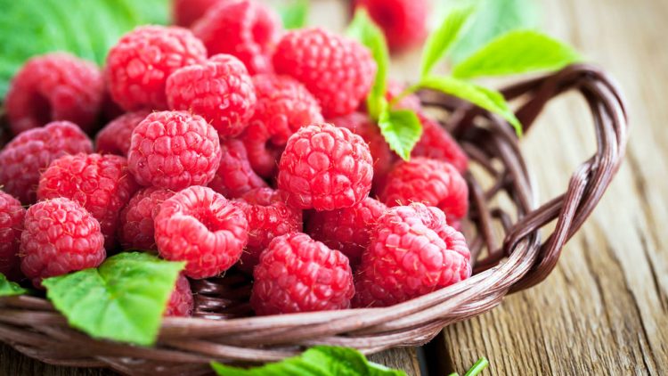 Descubriendo los Nutrientes y Beneficios Saludables de las Frambuesas: Una Joya Nutricional