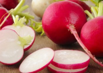 Descubriendo los Maravillosos Beneficios del Rábano: Un Tesoro Nutricional