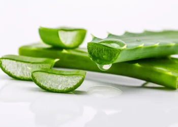 Aprovechando las Maravillas de la Sábila: Beneficios para la Salud y el Bienestar