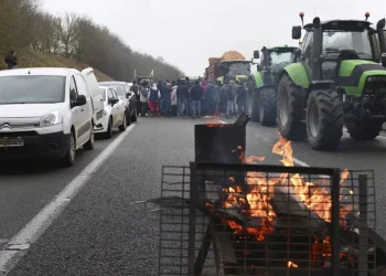 Organizaciones Agrícolas Instan a Involucrar Más a Agricultores en Decisiones de la UE