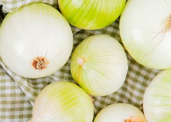 Título: Descubriendo los sorprendentes beneficios de la cebolla para la salud