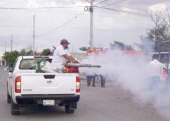 Realizan acciones de combate al zancudo