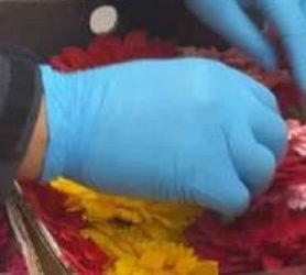 Reafirman estar prohibido cruzar flores de México a EU