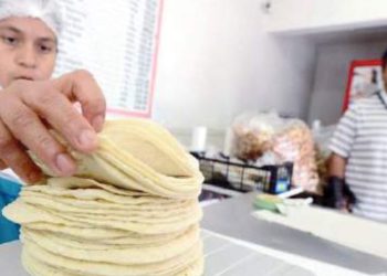 POSIBLEMENTE EN MARZO No se prevé aumento en precio de la tortilla