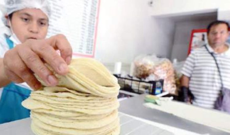 POSIBLEMENTE EN MARZO No se prevé aumento en precio de la tortilla