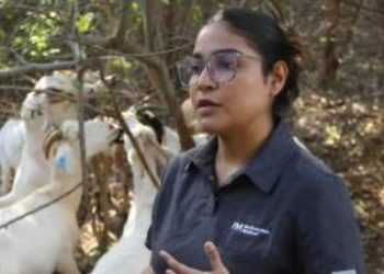 Busca la UAT innovaciones para el mejoramiento de producción caprina