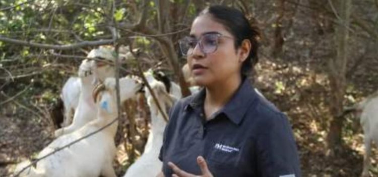 Busca la UAT innovaciones para el mejoramiento de producción caprina