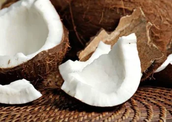 Explorando los Increíbles Beneficios del Coco: Un Tesoro Nutricional y Versátil