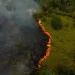 Amazonia en Llamas; más de 3 mil Incendios en Febrero Despierta Alarmas por Cambio Climático