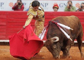 Tribunal Federal Admite a Trámite Recurso de Queja de Plaza de Toros México Contra Suspensión Provisional