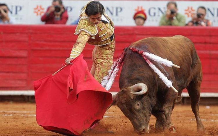 Tribunal Federal Admite a Trámite Recurso de Queja de Plaza de Toros México Contra Suspensión Provisional