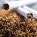 Explorando los pros y contras del consumo de tabaco