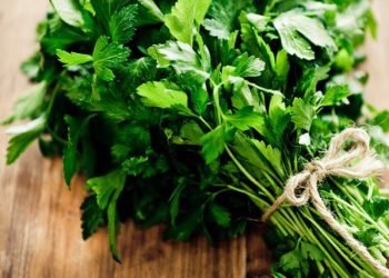 Descubriendo los Sorprendentes Beneficios del Perejil: Un Tesoro Nutricional en tu Cocina
