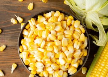 Los Innumerables Beneficios del Maíz en la Alimentación y Más Allá