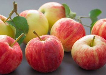 Descubriendo los Nutritivos Beneficios de las Manzanas: Un Fruto Versátil y Saludable