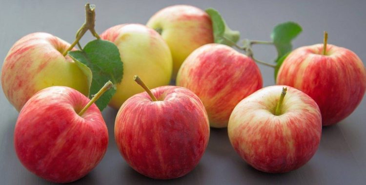 Descubriendo los Nutritivos Beneficios de las Manzanas: Un Fruto Versátil y Saludable
