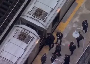 Canciller Bárcena Brinda Apoyo a Familia de Mexicano Fallecido por Bala Perdida en Metro de NY