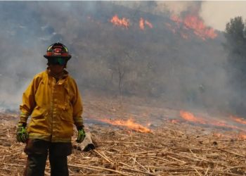 ¡ALERTA NACIONAL! 116 incendios activos en México; hay 4 muertos