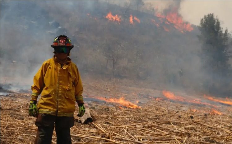 ¡ALERTA NACIONAL! 116 incendios activos en México; hay 4 muertos
