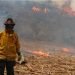 ¡ALERTA NACIONAL! 116 incendios activos en México; hay 4 muertos