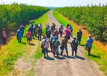 Denuncias de injerencias indebidas y malas prácticas en sindicatos a favor de intereses económicos