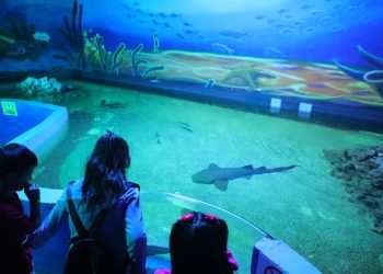 Invitan a visitar Zoológico y el Acuario de la ciudad