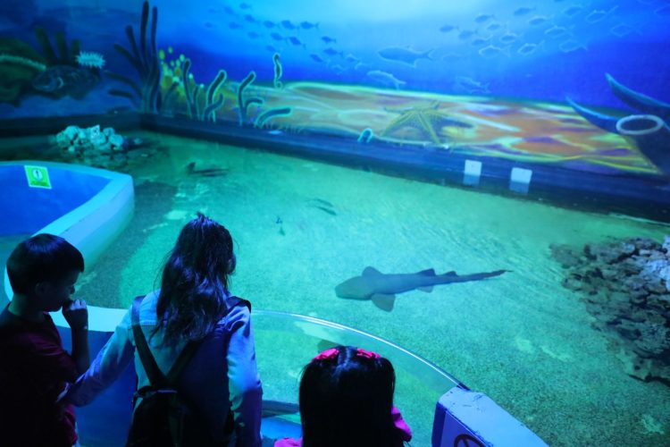 Invitan a visitar Zoológico y el Acuario de la ciudad