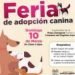 Invitan a la feria de adopción canina y felina 
