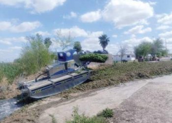 Continúan sacando el lirio acuático del Laguito