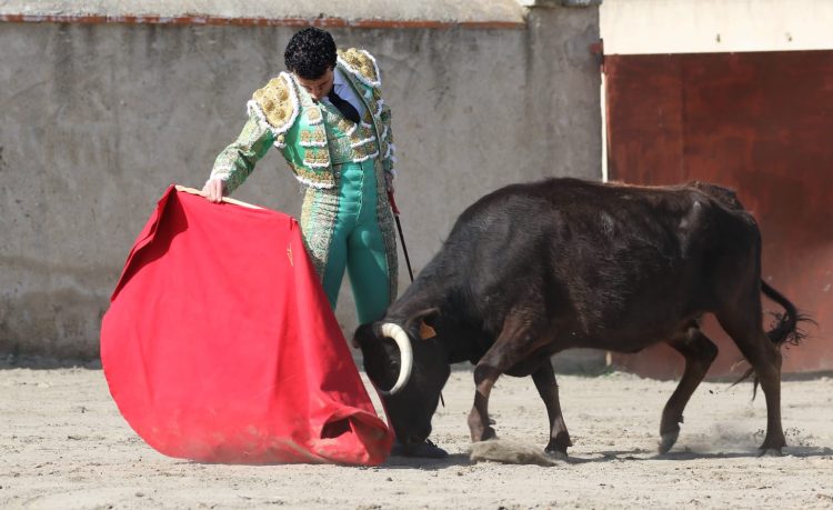 Realizarán Festejo Taurino en memoria de Víctor Lozano