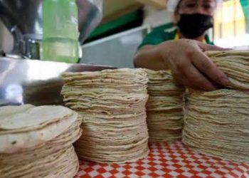 NO HAY AUMENTO “Congelan” precio de tortillas de maíz
