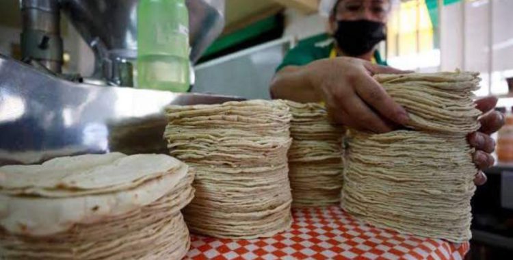NO HAY AUMENTO “Congelan” precio de tortillas de maíz