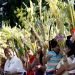 COMUNIDAD CATÓLICA Celebrarán mañana Domingo de Ramos