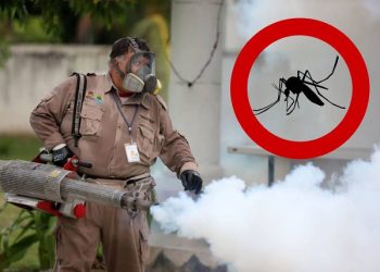 Confirman primer muerte por dengue en Tamaulipas