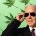 Biden Aboga por Reforma en Política de Marihuana en el Día 4/20