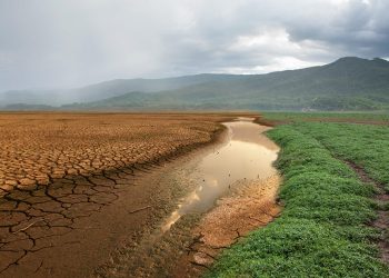 Impactará Cambio Climático en la Economía Mexicana, Advierten Especialistas de la UNAM