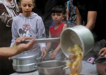 282 Millones de Personas Sufrieron Inseguridad Alimentaria Aguda según la ONU