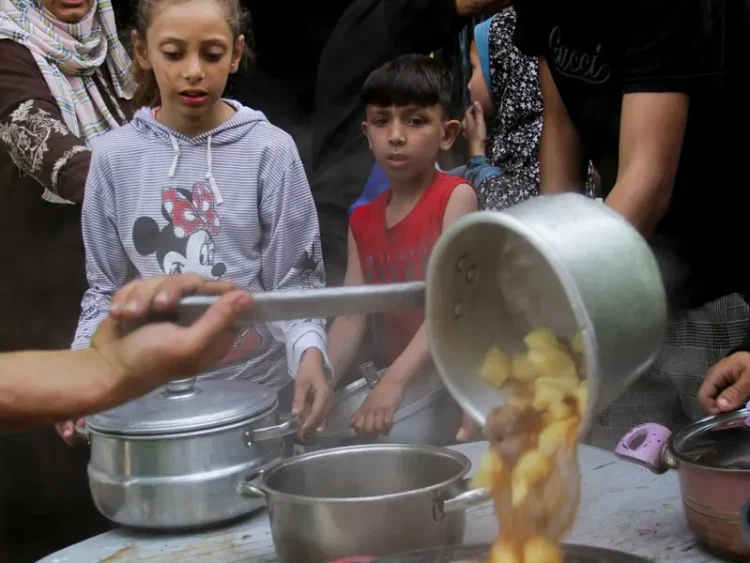 282 Millones de Personas Sufrieron Inseguridad Alimentaria Aguda según la ONU