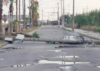 EN NUEVO LAREDO Árboles caídos, sectores sin luz y agua, saldo de tormenta